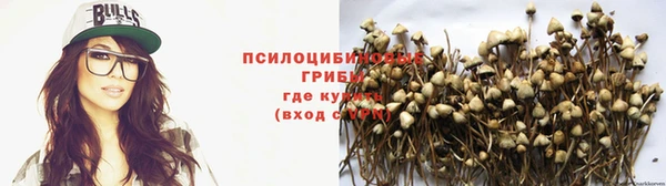 ECSTASY Новодвинск