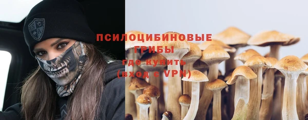 ECSTASY Новодвинск