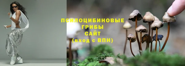 герыч Новокубанск