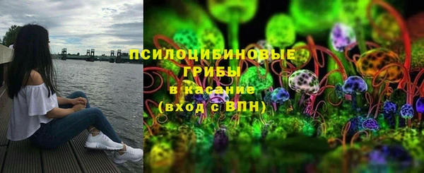 ECSTASY Новодвинск