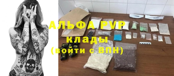 ECSTASY Новодвинск