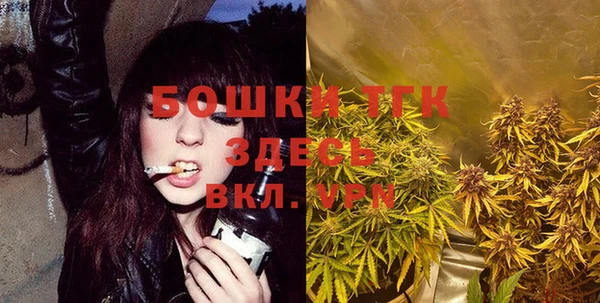 ECSTASY Новодвинск