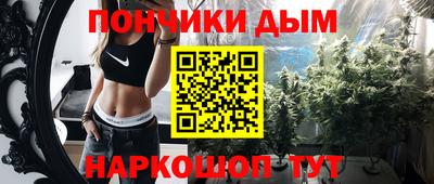 стаф Дубна