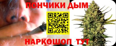 стаф Дубна