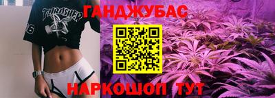 стаф Дубна