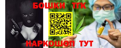 стаф Дубна