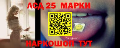 стаф Дубна
