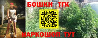 стаф Дубна