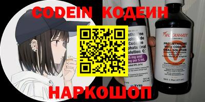 стаф Дубна