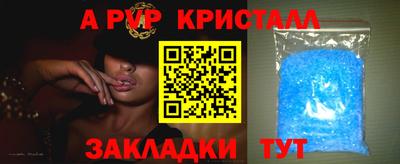 амф Донской