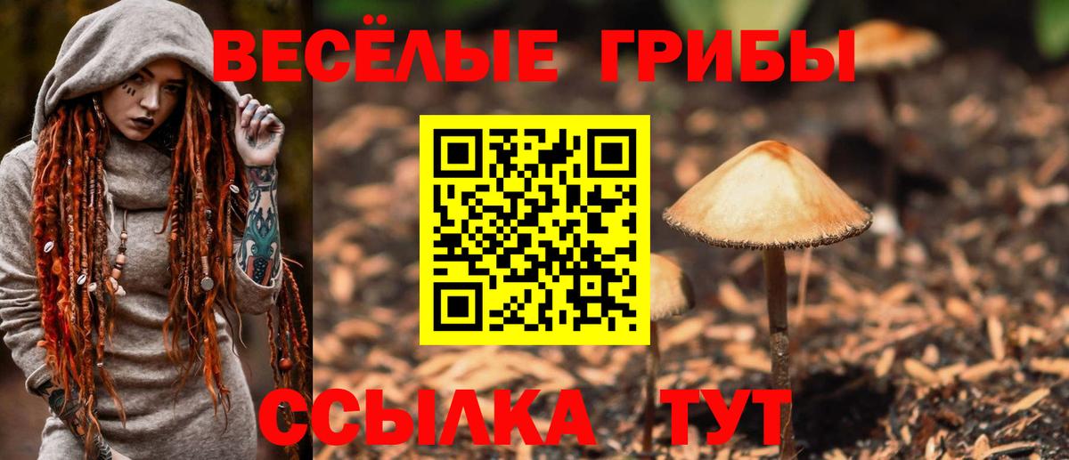 Галлюциногенные грибы Psilocybine cubensis  Галлюциногенные грибы MAGIC MUSHROOMS  Краснотурьинск  Вход с VPN 