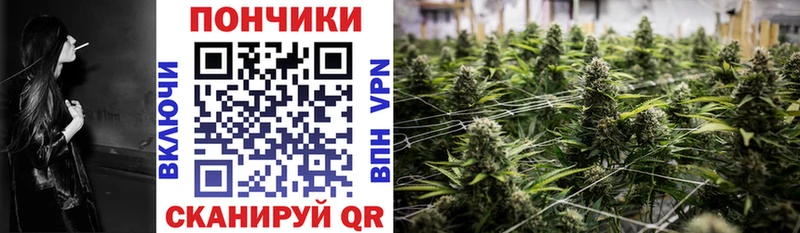 Конопля сатива  MEGA сайт  Краснотурьинск 
